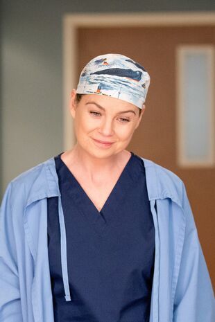 Anatomia lui Grey Sezonul 14 Episodul 13