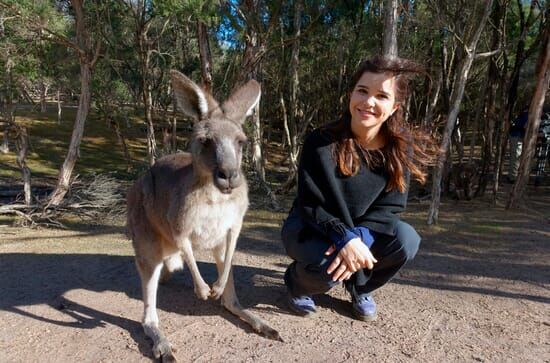 Anna und die wilden Tiere