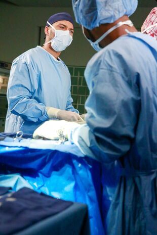 Anatomia lui Grey Sezonul 12 Episodul 8