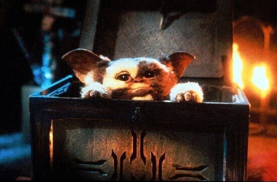 Gremlins – Kleine Monster