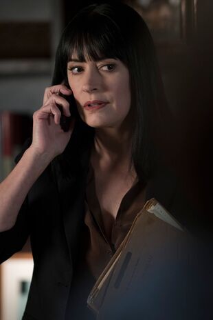 Minţi criminale Sezonul 13 Episodul 14
