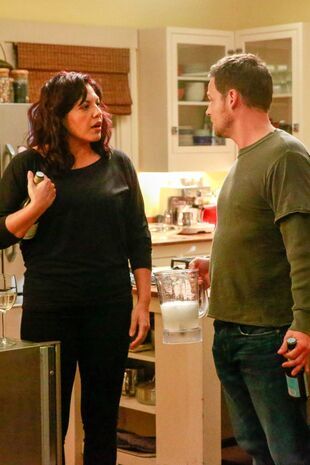 Anatomia lui Grey Sezonul 12 Episodul 10