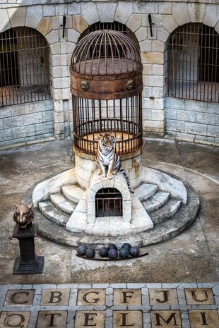 Fort Boyard Saison 32 Épisode 4