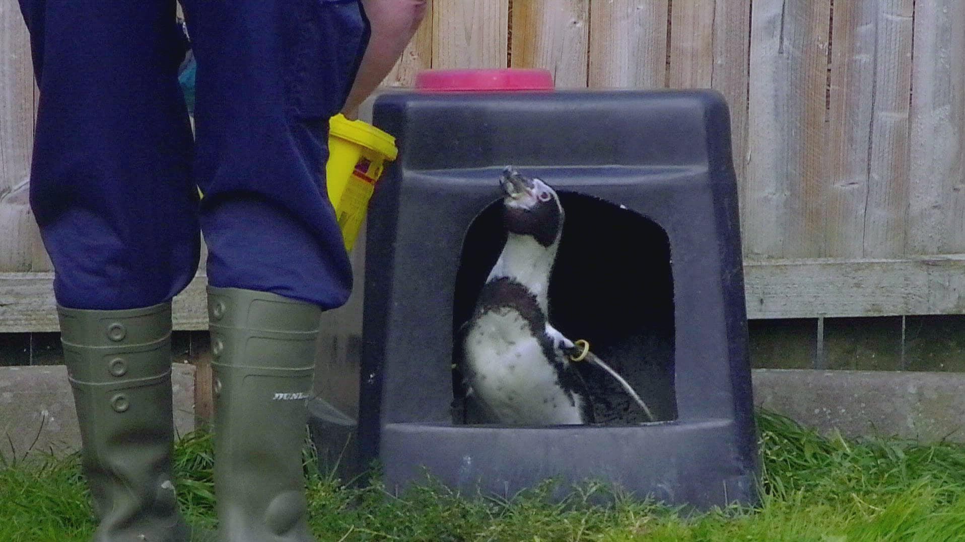Zoo und so – Tierisch wild!