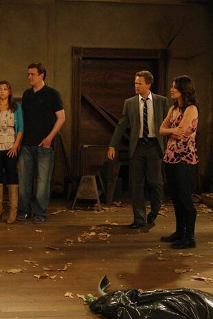 How I Met Your Mother Seizoen 5 Aflevering 20