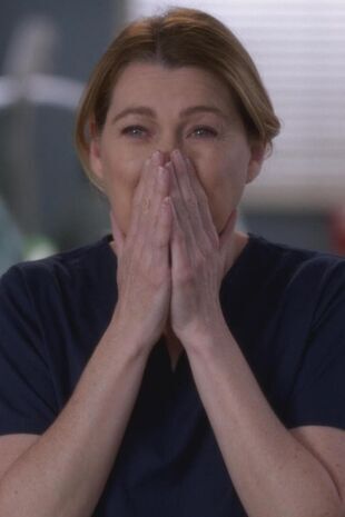 Anatomia lui Grey Sezonul 14 Episodul 23